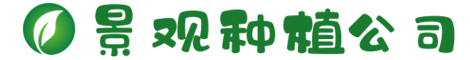www.962226.com